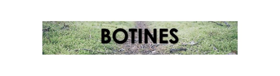 Bottines